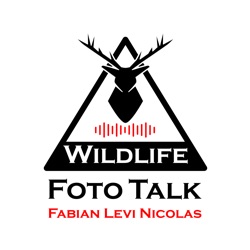 Wildlife Foto Talk Folge 4 - Neues Objektiv, Neujahrsvorsätze und Micro-Four Thirds
