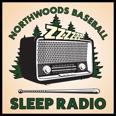 Northwoods Baseball Sleep Radio - Fake Baseball for Sleeping:Mr. King
