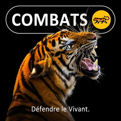 Combats Combats