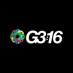 G316