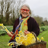 Darina Allen Interviews podcast