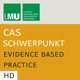 Center for Advanced Studies (CAS) Research Focus Evidence Based Practice (LMU) - HD