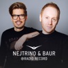Nejtrino & Baur