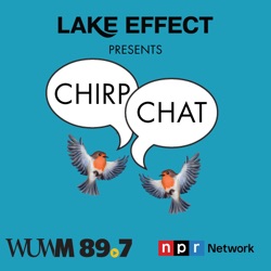 Chirp Chat: How to help birds survive Wisconsin’s winter