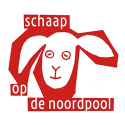 Schaap op de Noordpool