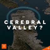 Where Is The REAL Cerebral Valley? | Lightcone Podcast