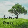 Ambient Tones