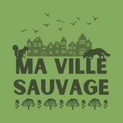 Ma ville sauvage