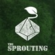 The Sprouting