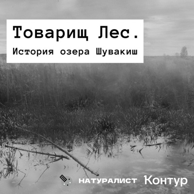 Товарищ Лес — озеро Шувакиш