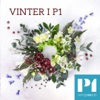 Sommar & Vinter i P1