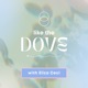 Like the Dove Podcast