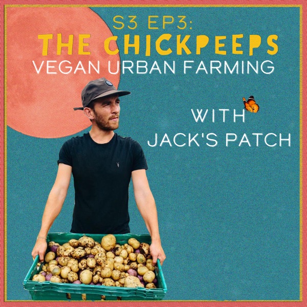 S3, Ep3: Vegan Urban Farming with Jack's Patch photo