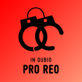 In dubio pro reo - Rocío Arregui Montoya