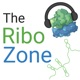 The Ribozone