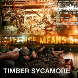 Timber Sycamore Podcast