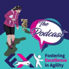 Fostering Excellence in Agility - Megan Foster