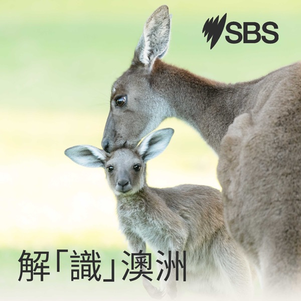 Australia Explained in Cantonese - 解「識」澳洲