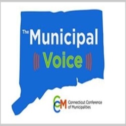 The Municipal Voice - Town and City Priorities