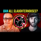 The Public Wants An END To Slaughterhouses | Robert Grillo