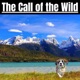 Chapter 7 - The Call of the Wild - Jack London