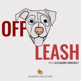 An Update on Off Leash