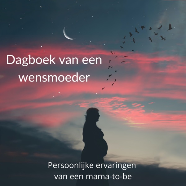 Dagboek van een wensmoeder