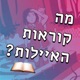 על קומיקס ואיור