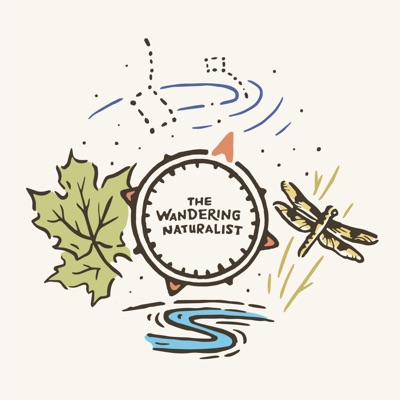 The Wandering Naturalist The Wandering Naturalist