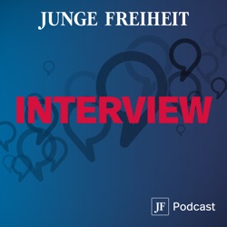 Wie Höcke den neuen AfD-Vorstand beschädigt - Dieter Stein