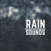 Soft Rain on Leaves