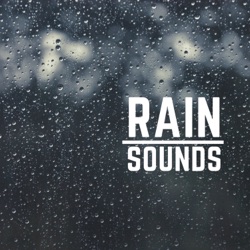rain sounds in the forest