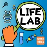 “Is This a Good Idea?” - Life Lab, Pt. 3