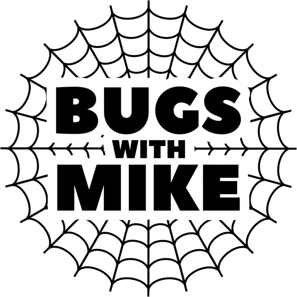 Bugs With Mike Image