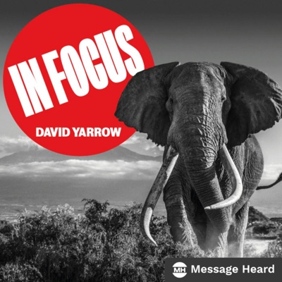 In Focus with David Yarrow:Message Heard / David Yarrow