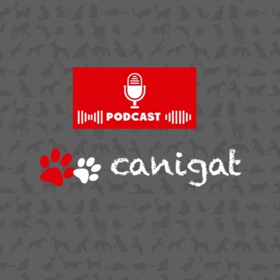 Consejos veterinarios de perros y gatos by canigat:canigat Podcast