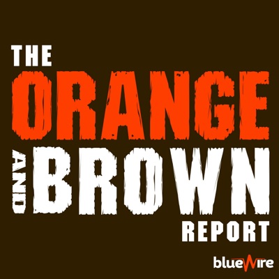 Orange and Brown Report