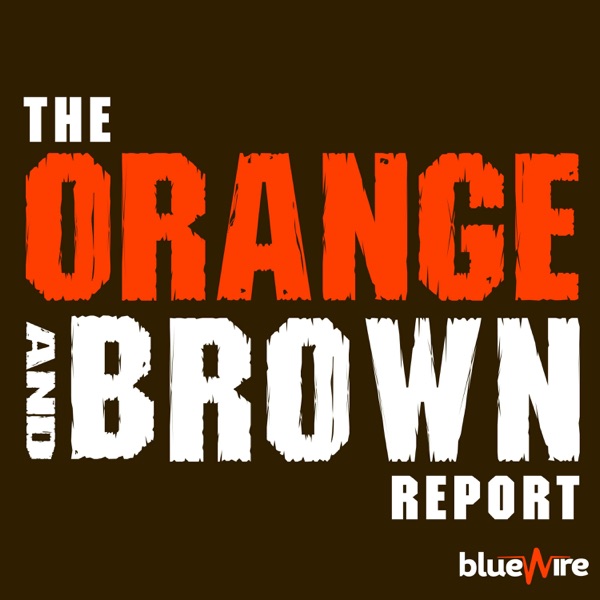 Orange and Brown Report