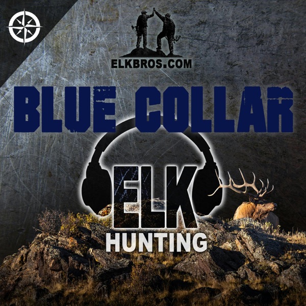 Blue Collar Elk Hunting