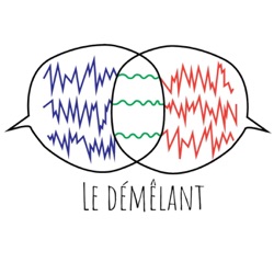 Le Démêlant