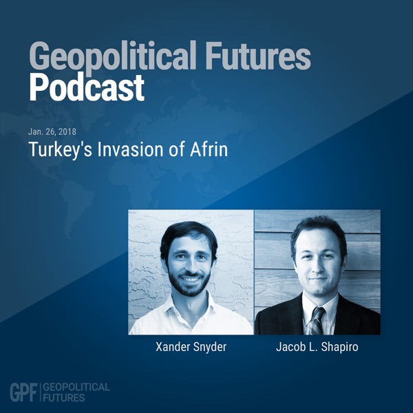 Turkey's Invasion of Afrin photo