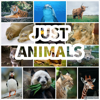 Just Animals - Elle, Guy and Sam the Zoo Keeper
