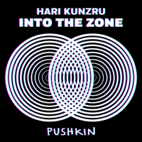 Into the Zone podcast