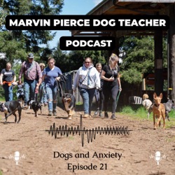 Marvin Pierce Dog Teacher