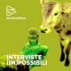 Interviste (im)possibili