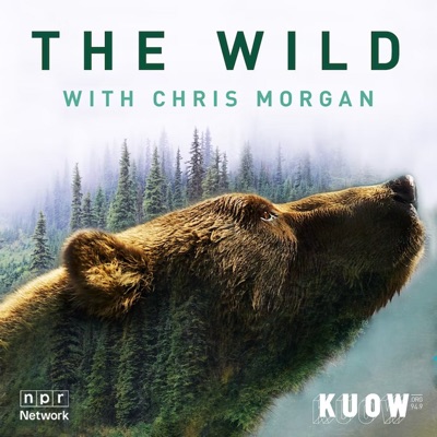 The Wild with Chris Morgan:KUOW News and Information