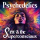 Psychedelics, Sex, and the Superconscious