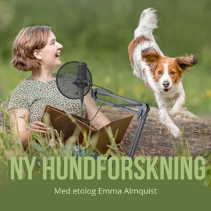 Ny hundforskning