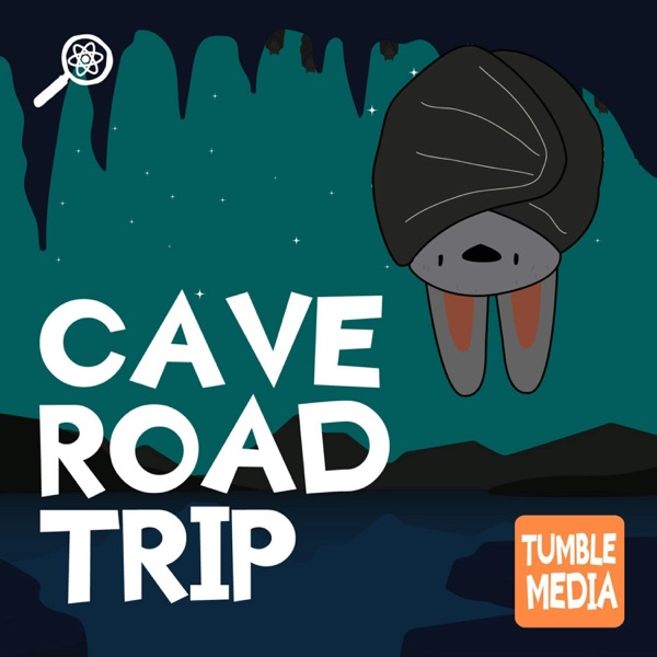 The Great Cave Road Trip photo