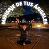 Conexión con tus Ángeles - Nilia Salazar